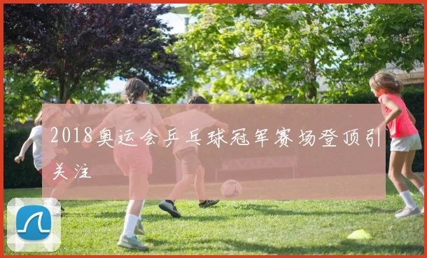 2018奥运会乒乓球冠军赛场登顶引关注