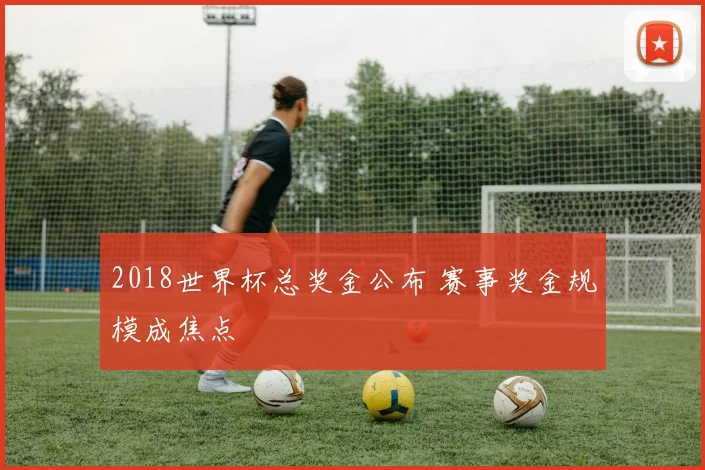 2018世界杯总奖金公布 赛事奖金规模成焦点