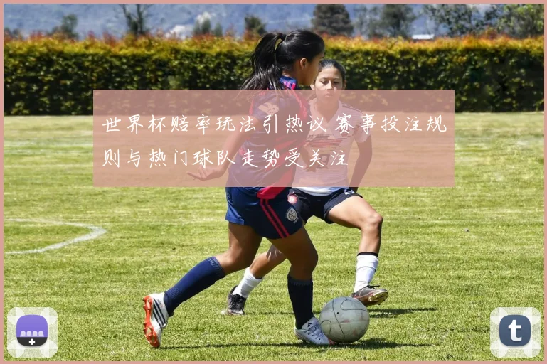 世界杯赔率玩法引热议 赛事投注规则与热门球队走势受关注