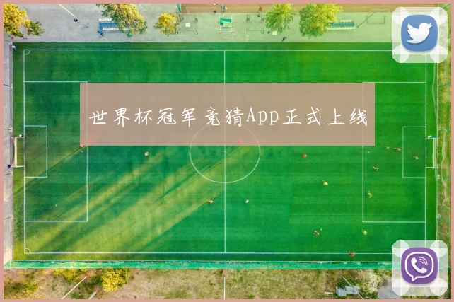 世界杯冠军竞猜App正式上线