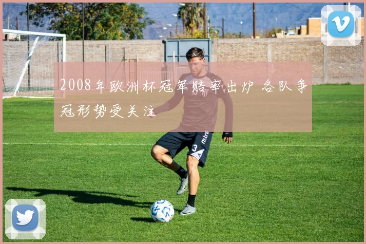 2008年欧洲杯冠军赔率出炉 各队争冠形势受关注