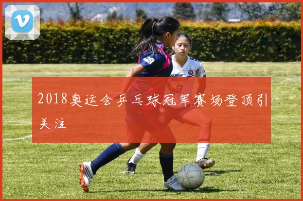 2018奥运会乒乓球冠军赛场登顶引关注