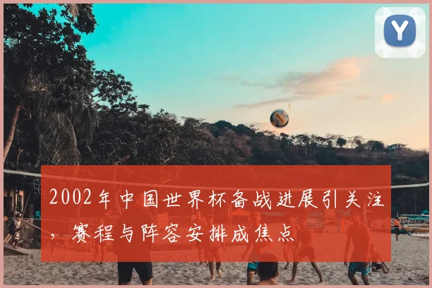 2002年中国世界杯备战进展引关注,赛程与阵容安排成焦点